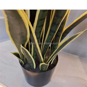 Foshan emulado pequeño plástico en maceta <span class=keywords><strong>Sansevieria</strong></span> Planta artificial amarillo verde imitación con aspecto realista - Product Image 5