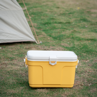 Glacière isotherme 13 L avec poignée, personnalisable avec logo sérigraphié, durable, pour activités de plein air - Vente en gros usine