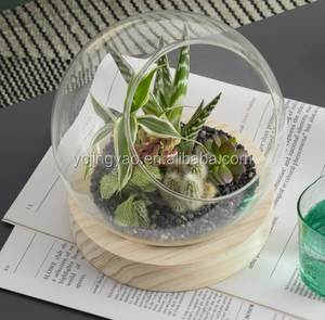 OEM Dekorative Klare Borosilikatglas Runde Kugel <span class=keywords><strong>Terrarium</strong></span> Vase auf Holzständer - Product Image 4