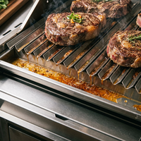 Grill argentin Santa Maria professionnel et commercial avec brasero, en acier inoxydable 304 robuste, parrilla et foyer latéral