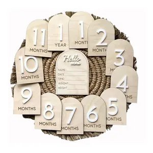 13 PCS Hello World Newborn Baby Shower Set Wooden Baby Monthly Milestone Cards for Memory