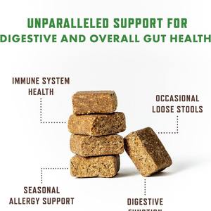 कुत्ते प्रोबायोटिक्स सॉफ्ट चेस्ट प्रतिरक्षा प्रणाली आंत स्वास्थ्य पाचन पोषक तत्व कुत्तों के लिए सक्रिय प्रोबायोटिक्स खाद्य पूरक - Product Image 3