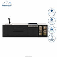 Cuisine extérieure modulaire moderne de luxe, ignifuge, écologique, îlot Teppanyaki, panneau en acier inoxydable laqué, armoire de barbecue