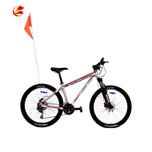 Dẫn Cột Cờ Tùy Chỉnh Atv Cờ Cực Cho Atv - Product Image 3