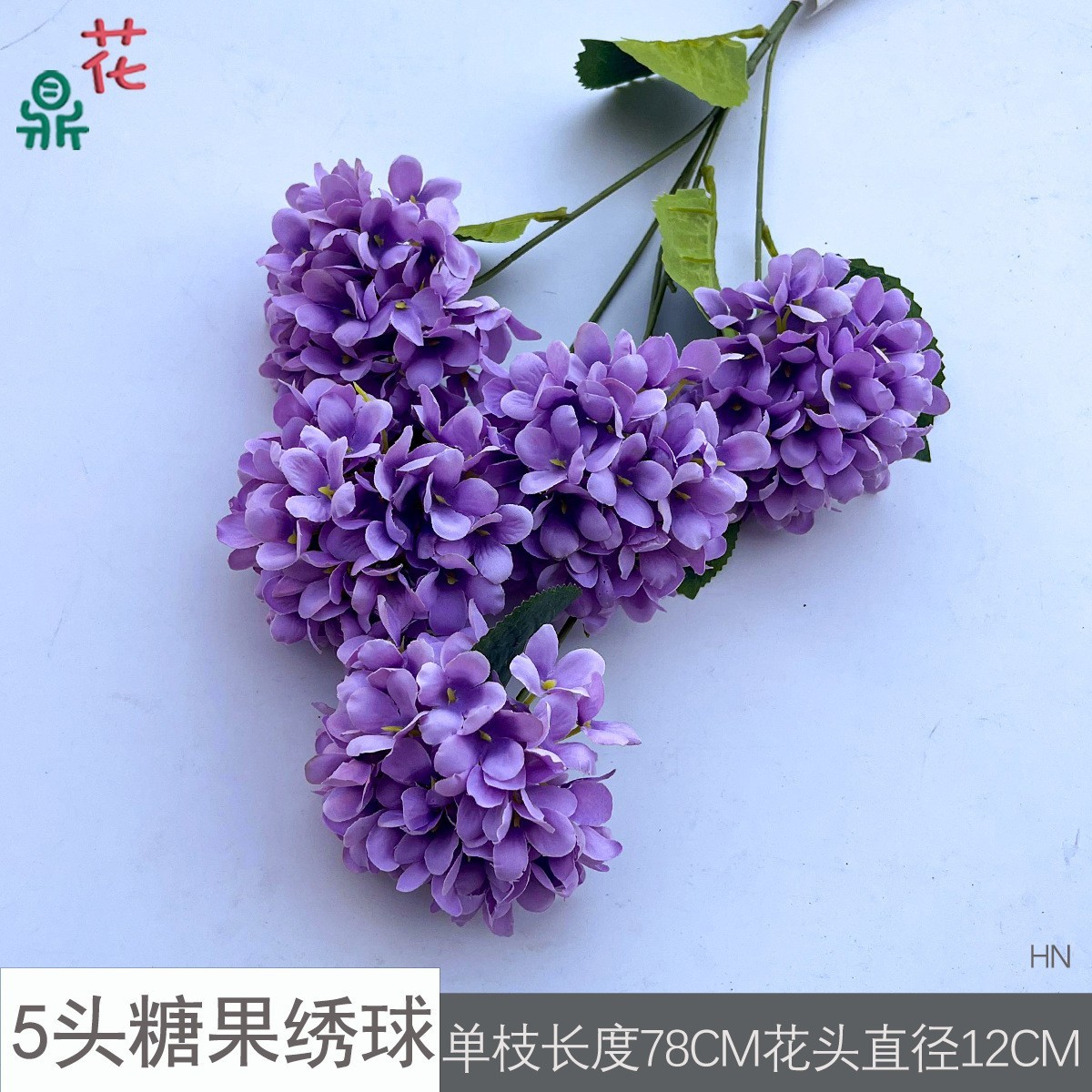 แคนดี้ไฮเดรนเยีย 5 หัว HN สีม่วงฤดูใบไม้ร่วง ไม่มีใบ