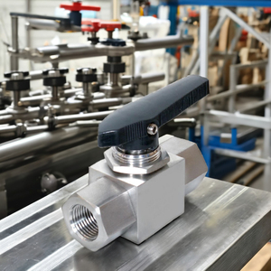 Válvula de bola recta de acero inoxidable 316 con rosca hembra, integrada, de un solo sentido, para gas, manual, de tamaño mediano, directa de fábrica - Product Image 4