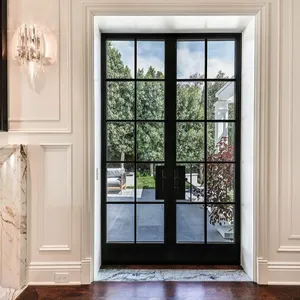 Diseño de puerta principal de interior, marco de hierro moderno, ventanas de acero galvanizado, puertas francesas, estándar europeo - Product Image 1