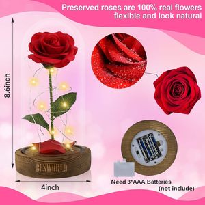 Rose LED <span class=keywords><strong>La</strong></span> <span class=keywords><strong>Belle</strong></span> <span class=keywords><strong>et</strong></span> <span class=keywords><strong>la</strong></span> <span class=keywords><strong>Bête</strong></span>, rose enchantée en galaxie, fleurs éternelles <span class=keywords><strong>dans</strong></span> un dôme, pour Noël, <span class=keywords><strong>la</strong></span> fête des mères, <span class=keywords><strong>la</strong></span> Saint-Valentin, cadeau - Product Image 2