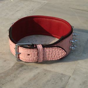 Collier de chien en cuir véritable à pointes de meilleure qualité, élégant et solide, fabricant direct - Product Image 4