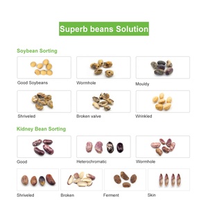 Pagamento a Rate Disponibile per Macchina Selezionatrice di Colore ad Alta Precisione 6SXZ-68 per Frutta, Verdura, Uva Passa, Showroom, Magazzino - Product Image 3