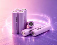 Vente en gros de cellules Li-ion 18650 Tipsun 26E 3.7V 2600mAh, approvisionnement en vrac pour les distributeurs et les importateurs