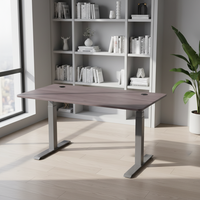 Cadre de bureau électrique à double moteur, 3 niveaux de réglage, fonctionnement ultra-silencieux, hauteur réglable, avec fonction mémoire