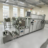 Machine de revêtement continu de 350 mm de largeur avec sécheur, ligne de revêtement de ruban adhésif BOPP pour papier, film, feuille, certifiée CE - Vente chaude