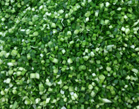 IQF — distributeur complet de frozen leek, vente en gros