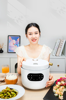 Mini-cuiseur à riz électrique intelligent 3L de qualité, multifonction, cuiseur vapeur, cuisson rapide à faible teneur en sucre, boîtier en plastique, tasse doseuse, usage domestique