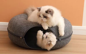 <span class=keywords><strong>Tunnel</strong></span> per animali domestici in feltro personalizzato alla moda <span class=keywords><strong>Tunnel</strong></span> per Cave di gatto resistente a forma di ciambella rimovibile con cerniera <span class=keywords><strong>Tunnel</strong></span> per animali domestici con Moq basso - Product Image 3