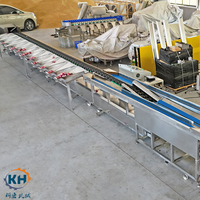 Avocado Oranje Cranberry Perzik Mais Groente Ui Sorteermachine Citroen Drakenvrucht Ecologisch Sensor PLC Model KHFX-6J Fruit