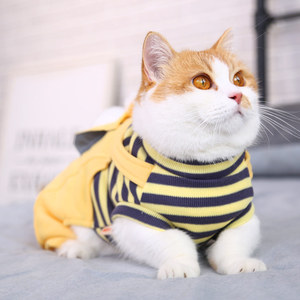Cute Cat <b>Overalls</b> Yellow Anti-Shedding Warm <b>Winter</b> Clothes For Pets Funny Style - Product Image 4