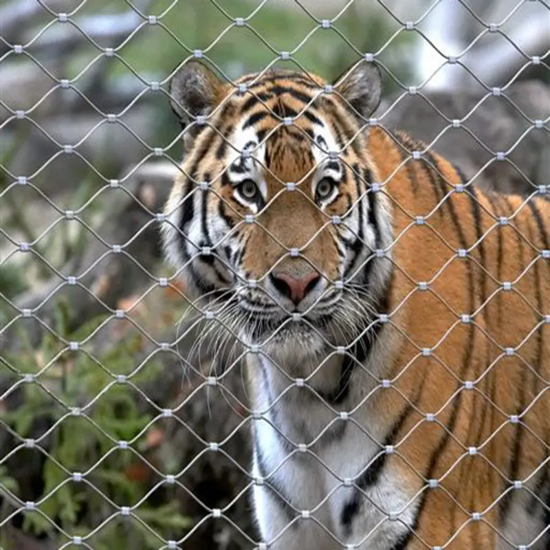 Hoge Sterkte Rvs Ketting Link Mesh Netting Voor Volière Zoo Mesh Anemal Kooien