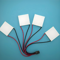 Module de refroidissement semi-conducteur basse consommation Peltier 30x30mm 12V Module de refroidissement TES112701 TES112702