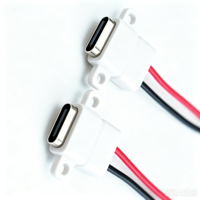 Connecteur femelle Type-C LN-004 avec oreille de fixation, câble de port de charge pour alimentation DIY à 2 fils