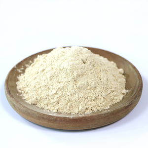 Gói tùy chỉnh bán buôn Chất lượng cao khô tỏi bột xuất khẩu - Product Image 6