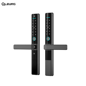 Serrures de porte en aluminium étanches IP65 S601, serrure intelligente Tuya, serrure à empreintes digitales <span class=keywords><strong>double</strong></span> face, serrure à carte TTlock, serrure de porte coulissante - Product Image 3