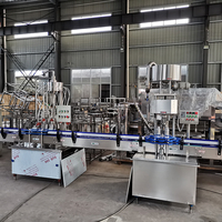 Machine de remplissage complète pour vin, boissons, Vodka, whisky, alcool, plantes, ligne de bouteilles, ml