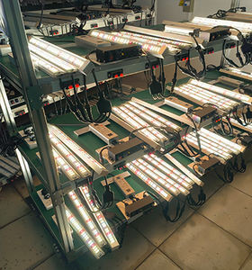 Abest 800W Indoor LED Plant Grow Lamp Bar Full Spectrum LM301H <span class=keywords><strong>EVO</strong></span> LED Grow Light Featuring <span class=keywords><strong>Samsung</strong></span> - Product Image 6