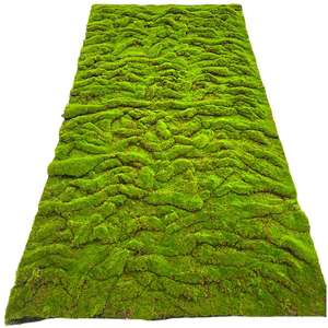 Tapis <span class=keywords><strong>d</strong></span>'herbe artificielle, <span class=keywords><strong>mini</strong></span>-plante verte, <span class=keywords><strong>d</strong></span>écoration en mousse, tapis vert hyper réaliste pour salon, herbe artificielle - Product Image 2