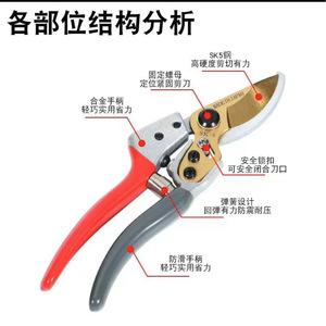 Tijeras de podar premium con cuchilla de acero inoxidable de 20-30 mm para árboles frutales y paisajismo, mango rojo - Product Image 3