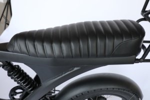 Bicicleta eléctrica de 20 pulgadas, bicicleta de grasa, bicicleta eléctrica de 48V, superpotencia, neumático gordo 73 ebike - Product Image 4