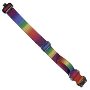 Collier pour chien robuste à dégradé arc-en-ciel avec boucle en métal de luxe pour chiens de taille moyenne à grande - Product Image 4