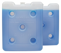 Bloc de glace en gel non toxique pour la livraison ou le stockage d'aliments frais, boîte à glace en HDPE, bloc de glace, brique réfrigérante