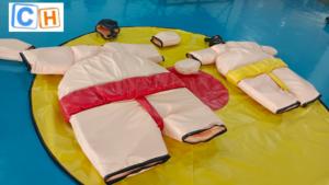 Gioco <span class=keywords><strong>di</strong></span> Sumo interattivo gonfiabile giochi per bambini adulti al coperto all'aperto - Product Image 3