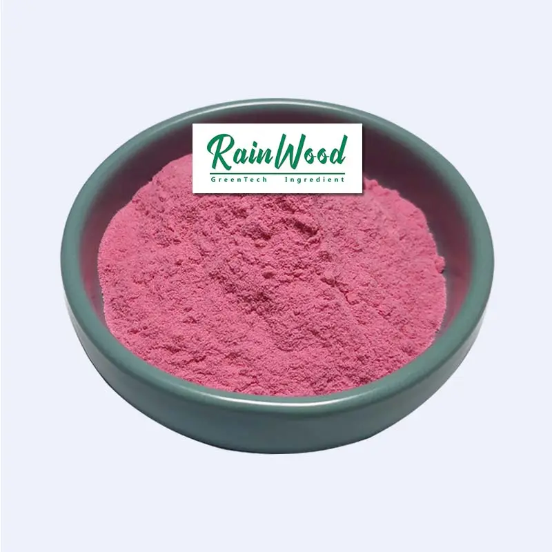 Rainwood – poudre de jus de fraise 100% naturelle soluble dans l'eau, vente chaude