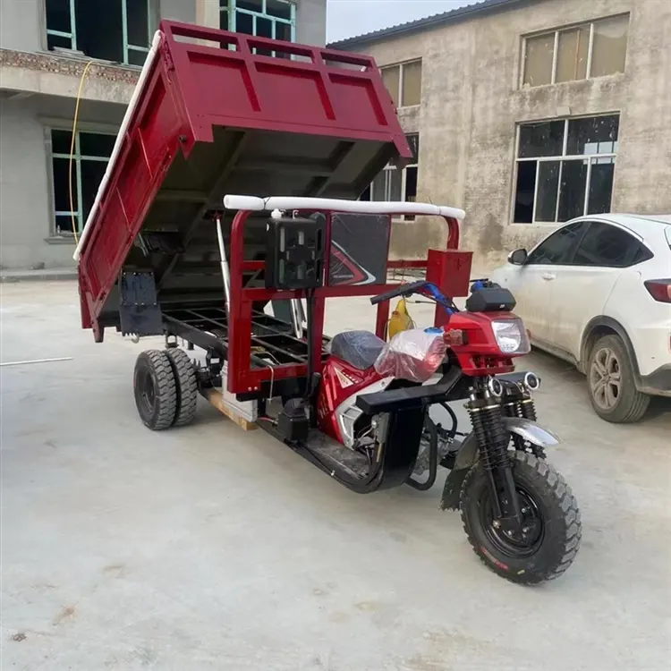 中国の新しいモビリティ電気自動車電気三輪車電気三輪車貨物三輪車電気スクーターの乗客と貨物