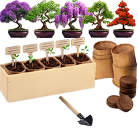 Kit de démarrage pour bonsaïs débutants : Pot de culture en tissu de jute, outils et jardinière pour plantes d'intérieur, idéal pour le jardinage DIY