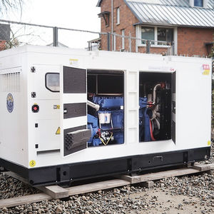 250kw סוג שקט גנרטור להגדיר עם טס שלט רחוק יעילות גבוהה 380v מתח גבוה 50/60hz תדר - Product Image 5