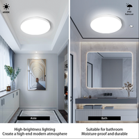 Luminaires Connectés/Plafonnier LED Intelligent à Détecteur PIR, Plafonnier LED à Détecteur de Mouvement, Plafonnier Intelligent