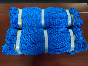 4Mm 8Mm 10Mm Đầy Màu Sắc <span class=keywords><strong>PP</strong></span> <span class=keywords><strong>Mono</strong></span> PE Polyethylene Xoắn Dây Câu Cá 1/4 "3/4" 5/8 "Du Thuyền Sợi Dây Thừng Cho Thuyền Bao Bì - Product Image 6