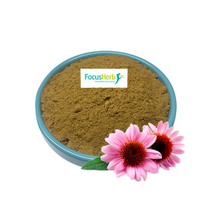 FocusHerb USA Entrepôt Spot Supply Echinacea Purpurea Echinacea Extrait 4% Polyphénol - Product Image 2