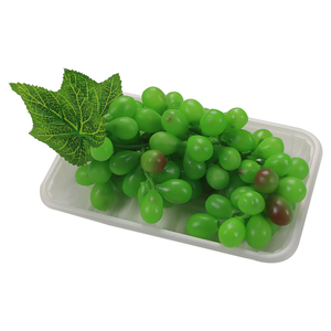 High Quality Round Square Compostable Plastic Food Biodegradable Packaging Box