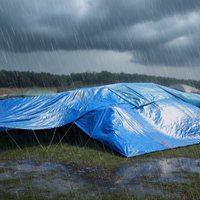 Bâche de camion en PE imperméable robuste, bâches en PVC en rouleau, vente en gros, fournisseur d'usine chinois YRH