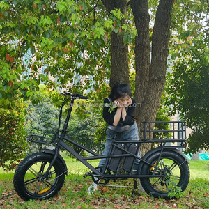 Consegna <span class=keywords><strong>bicicletta</strong></span> <span class=keywords><strong>elettrica</strong></span> con cestini anteriori e posteriori bici da carico <span class=keywords><strong>per</strong></span> pneumatici grassi da 20 pollici con doppia batteria - Product Image 2