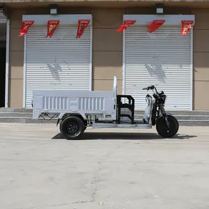 High Quality 3 Wheel Electric Tricycle Bike 1200W Electric Tricycle Motorcycle For Family Use