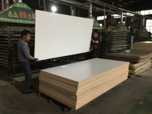 Foglio <span class=keywords><strong>di</strong></span> compensato 4x8 - Product Image 2