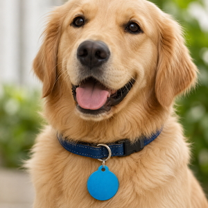 Etiqueta de Identificación Personalizada para Mascotas, Grabada con Láser, de Aluminio, Multicolor, con Orificio, para Perros y Gatos, Accesorios para Mascotas - Product Image 6