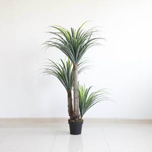 Nolina Recurvata Plantas Dracaena para interiores y exteriores en maceta <span class=keywords><strong>Cola</strong></span> <span class=keywords><strong>de</strong></span> <span class=keywords><strong>caballo</strong></span> Palma Planta <span class=keywords><strong>de</strong></span> <span class=keywords><strong>palmera</strong></span> artificial para el hogar - Product Image 1