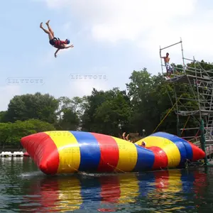 Parc aquatique gonflable adulte pour le divertissement d'été de parc aquatique avec blob gonflable